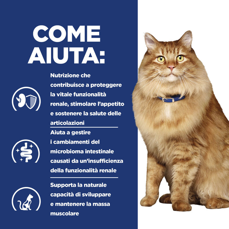 Hill's Prescription Diet Cat k/d + Mobility spezzatino con pollo e verdure aggiunte 82gr