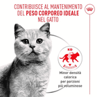 Royal Canin Cat Adult Light Weight Care Airlift Mousse 85gr