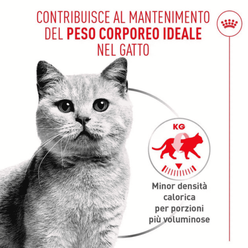 Royal Canin Cat Adult Light Weight Care Airlift Mousse 85gr