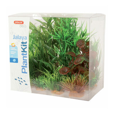 Zolux Plantkit Jalaya 6 piante Mod 2