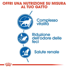 Royal Canin Cat Senior Indoor 7+ 400 gr