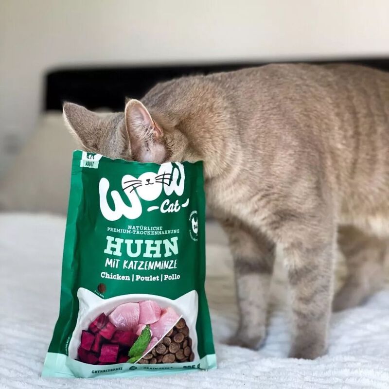 Wow Cat Adult Pollo con Erba Gatta 2 kg