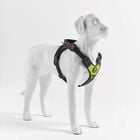 Tre Ponti Pettorina Harmonia per cani tg XL col. Lime