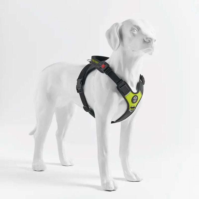 Tre Ponti Pettorina Harmonia per cani tg XL col. Lime