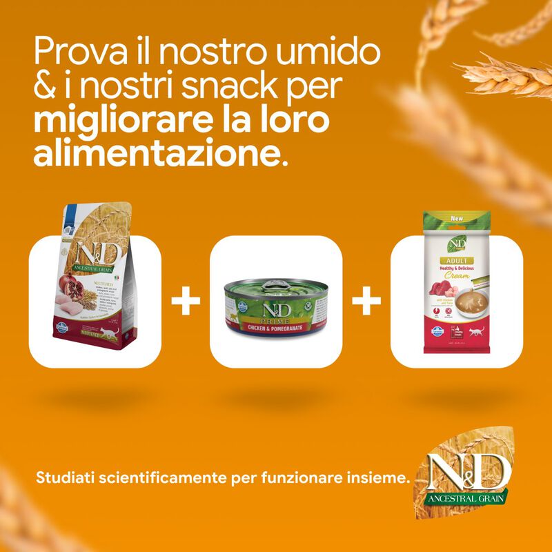 N&D Farmina Ancestral Grain Neutred Cat Pollo & Melograno 1,5 kg