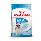 Royal Canin Dog Giant Junior 15 kg