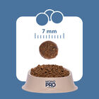 Monopro Cat Sterilised Trota 350gr