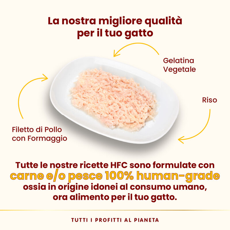 Almo Nature HFC Cat Jelly Filetto di Pollo con Formaggio 55g