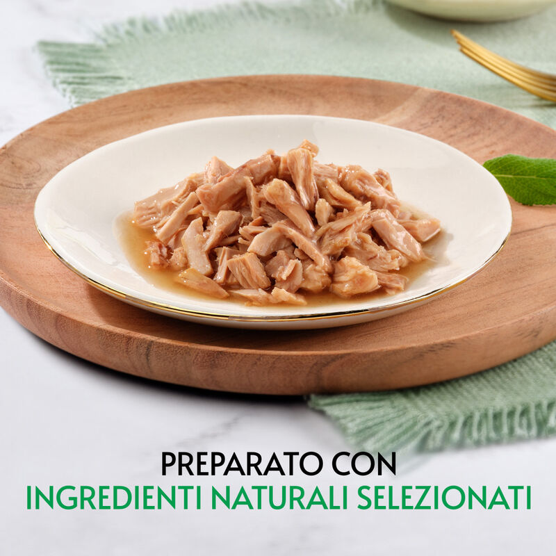 Gourmet Nature's Creations Trancetti di Tonnetto in Salsa 70 gr