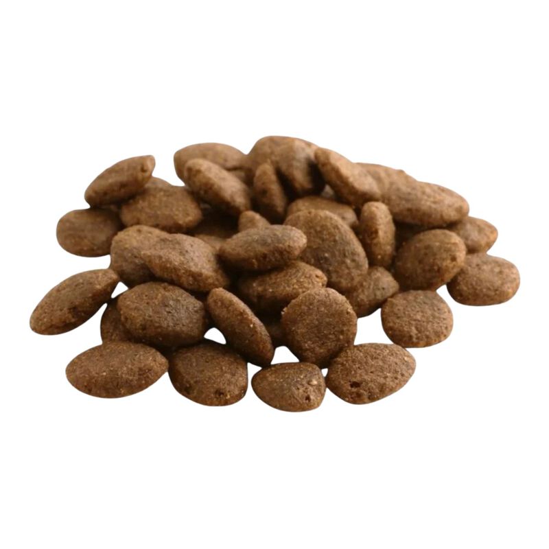 Fish4dogs Finest Dog Adult Large Salmone 1,5 kg