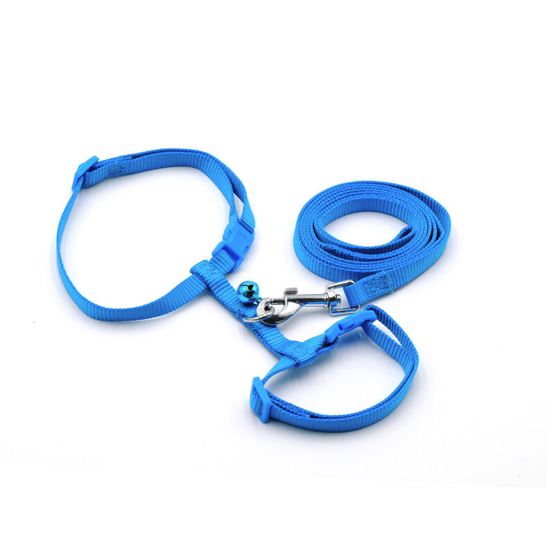 Petup Pettorina con Guinzaglio 10mm Blu