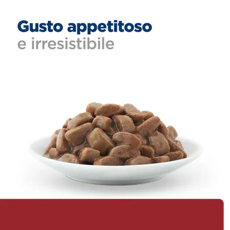 Hill's Prescprition Diet Cat Adult Gastrointestinal Biome 300gr
