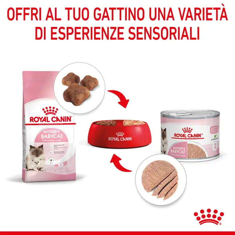 Royal Canin Cat Kitten Baby Instinctive 195 gr