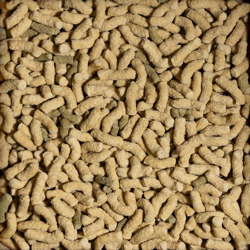 Sera Tartarughe Adulte Raffy P Pellets 3,8 lt