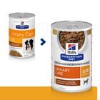 Hill's Prescription Diet Dog c/d Multicare spezzatino con pollo e verdure 354 gr