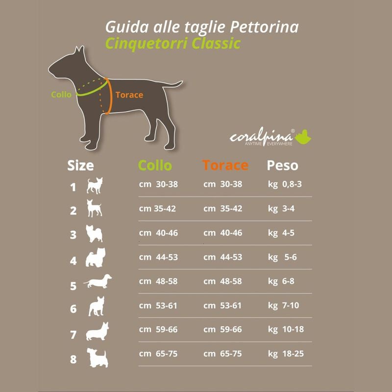 Coralpina Pettorina Cinquetorri Rosso Tg 2