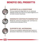 Royal Canin Veterinary Diet Dog Adult Gastrointestinal Moderate Calorie 15 kg