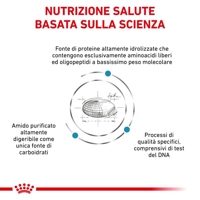 Royal Canin Veterinary Diet Dog Small Anallergenic 3 kg