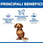 Hill's Science Plan Dog Perfect Weight Small & Mini Adult al Pollo 1,5 kg