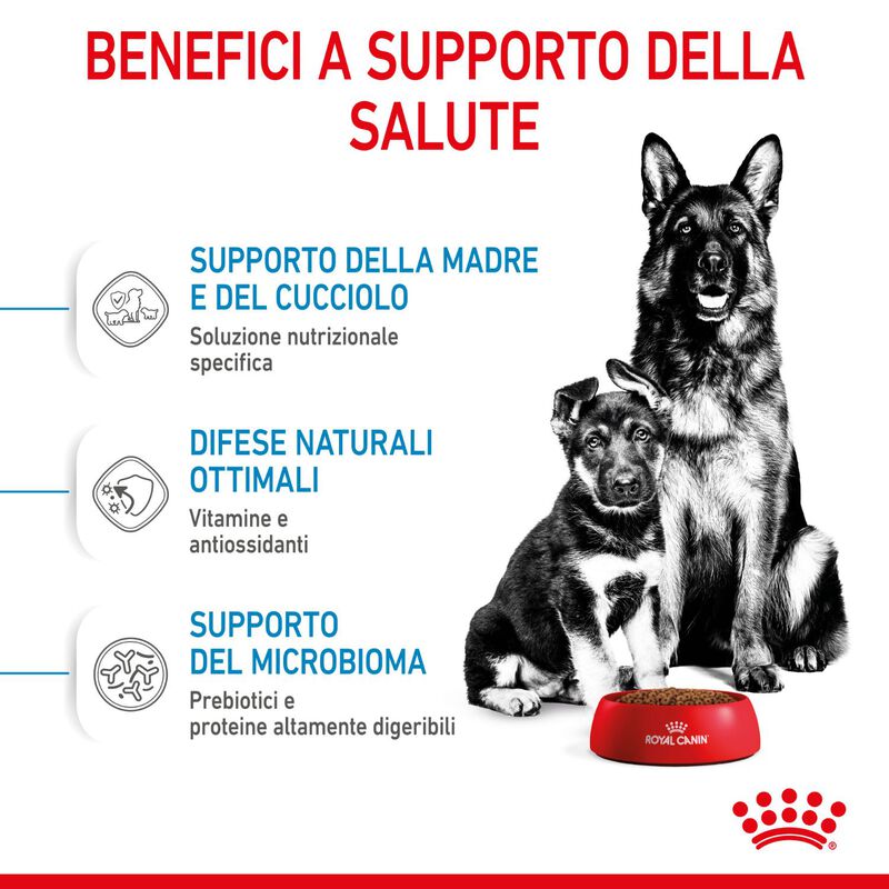 Royal Canin Maxi Starter Mother&Babydog 4 Kg