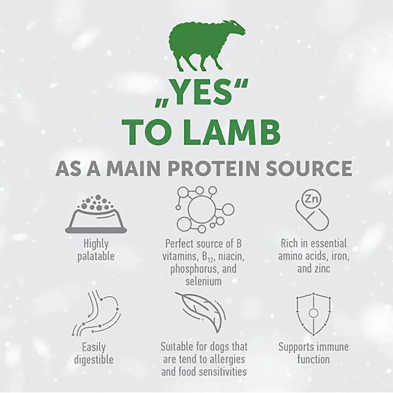 Nature's Protection White Dog Small & Mini Grain Free all'Agello 10 kg