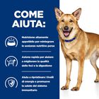 Hill's Prescription Diet Dog i/d Digestive Care con Pollo 12 kg