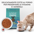 Schesir Born Carnivore Cat Adult Aringa con Salmone 255gr