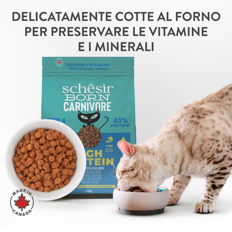 Schesir Born Carnivore Cat Adult Aringa con Salmone 255gr