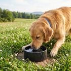 Trixie Ciotola in ceramica colore nero 13 cm 400ml