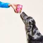 Wow Dog Adult Selvaggina con Alghe Marine e Patate Dolci 800 gr