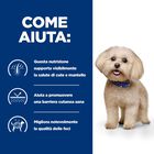 Hill's Prescription Diet Dog z/d Mini 1 kg
