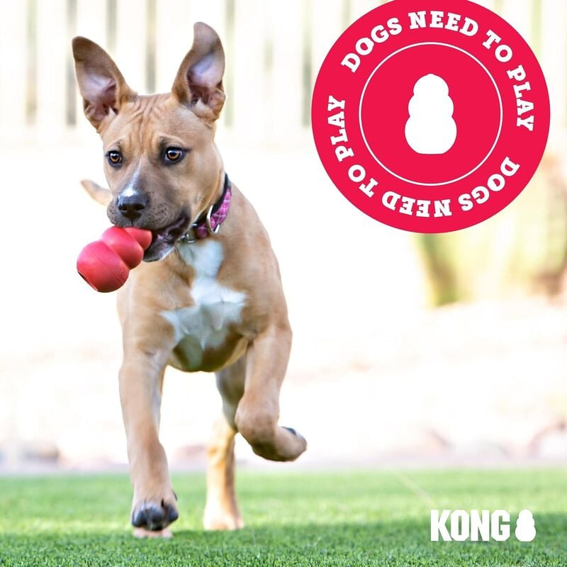 Kong AirDog Osso Sonoro per cani Tg L Giallo