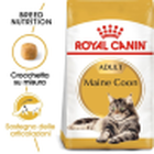 Royal Canin Cat Adult Maine Coon 2 kg