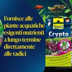 Tetra Crypto 10 Compresse