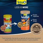 Tetra Goldfish Flakes 100 ml
