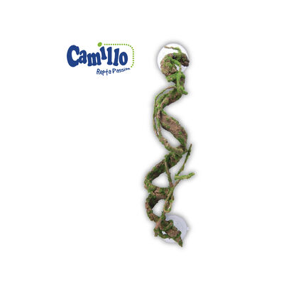 Camillo Repta Passion Liana attorcigliata 37 cm