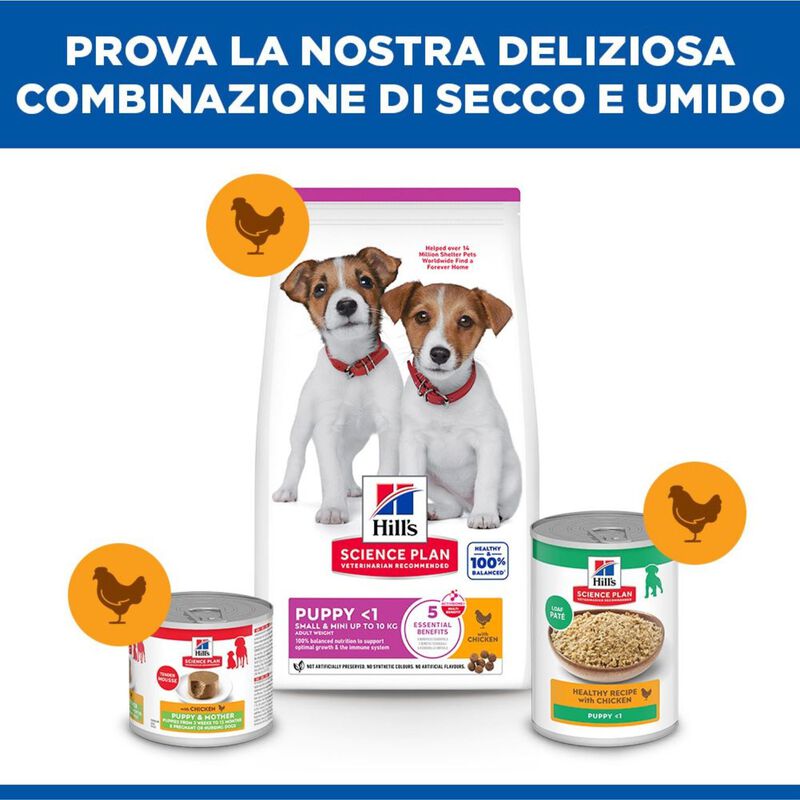 Hill's Science Plan Dog  Small & Mini Puppy al Pollo 300 gr
