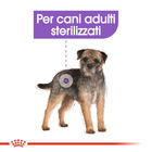 Royal Canin Dog Adult Sterilised 85 gr