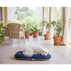 Petup Cuscino Tecnico Ovale Blu 100x70 cm