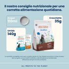 Almo Nature Holistic Sterilised Cat Adult con Manzo 2 kg
