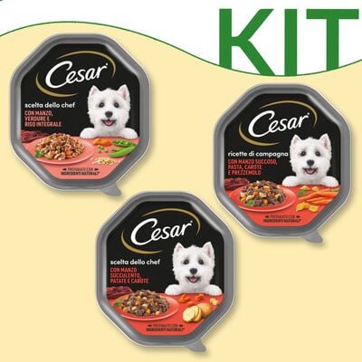 Kit degustazione Cesar Dog adult ricette di campagna 150 gr