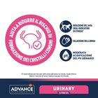 Advance Veterinary Diets Cat Urinary Stress 1,25kg