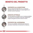 Royal Canin Veterinary Diet Kitten Gastrointestinal 195 gr