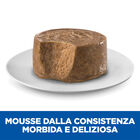 Hill's Science Plan Perfect Digestion Dog Adult Small & Mini Mousse con tacchino 200gr