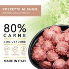 Tasty Pet Polpette in Salsa per cani con Maiale, Zucca e Piselli 400 gr