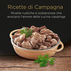 Cesar Dog Ricette di Campagna con Manzo e Tacchino 150 gr