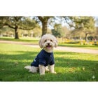 Camon Maglioncino per cani Ciao Amore Tg.33