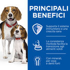 Hill's Science Plan Puppy&Mother Tender Mousse con Pollo 200 gr - Scad. Novembre 25