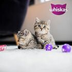 Whiskas Junior croccantini con Pollo 1,4 Kg