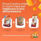 N&D Farmina Pumpkin Dog Adult Medium & Maxi Pollo e Melograno 2,5 kg